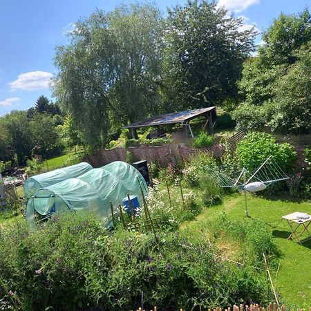 Gee Is Sharing Her Home Lieja Exterior foto