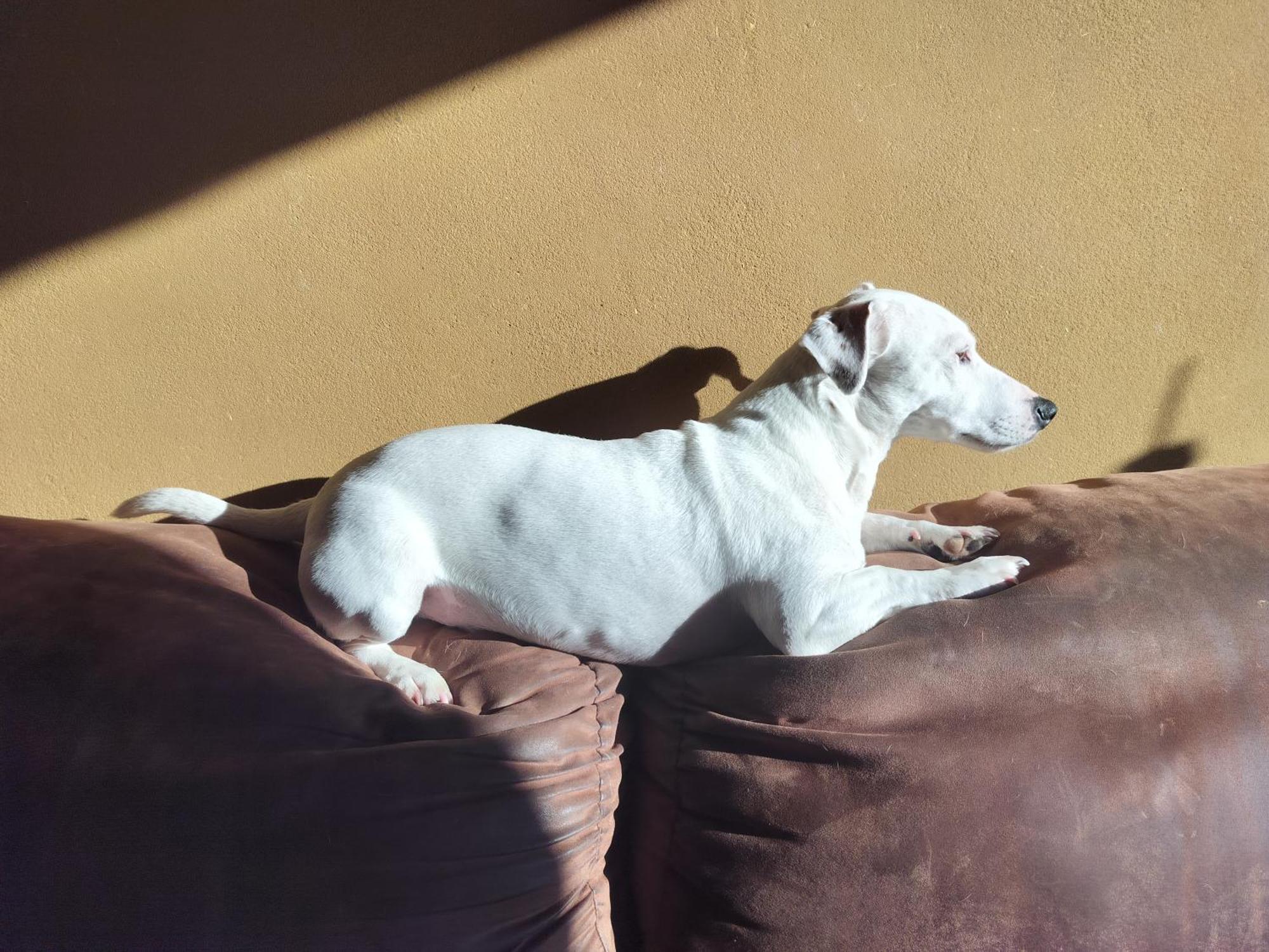 Gee Is Sharing Her Home Lieja Exterior foto