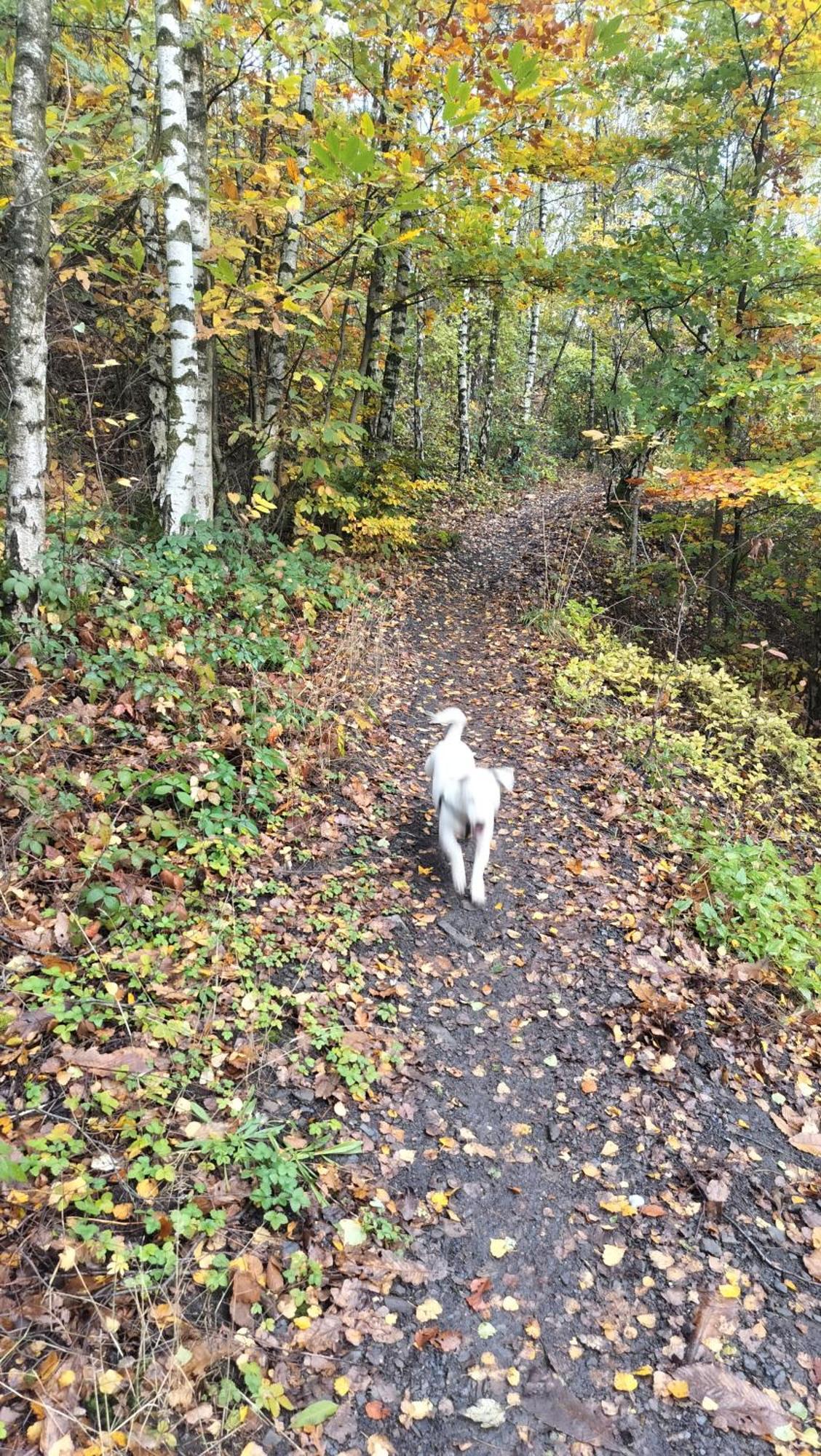 Gee Is Sharing Her Home Lieja Exterior foto