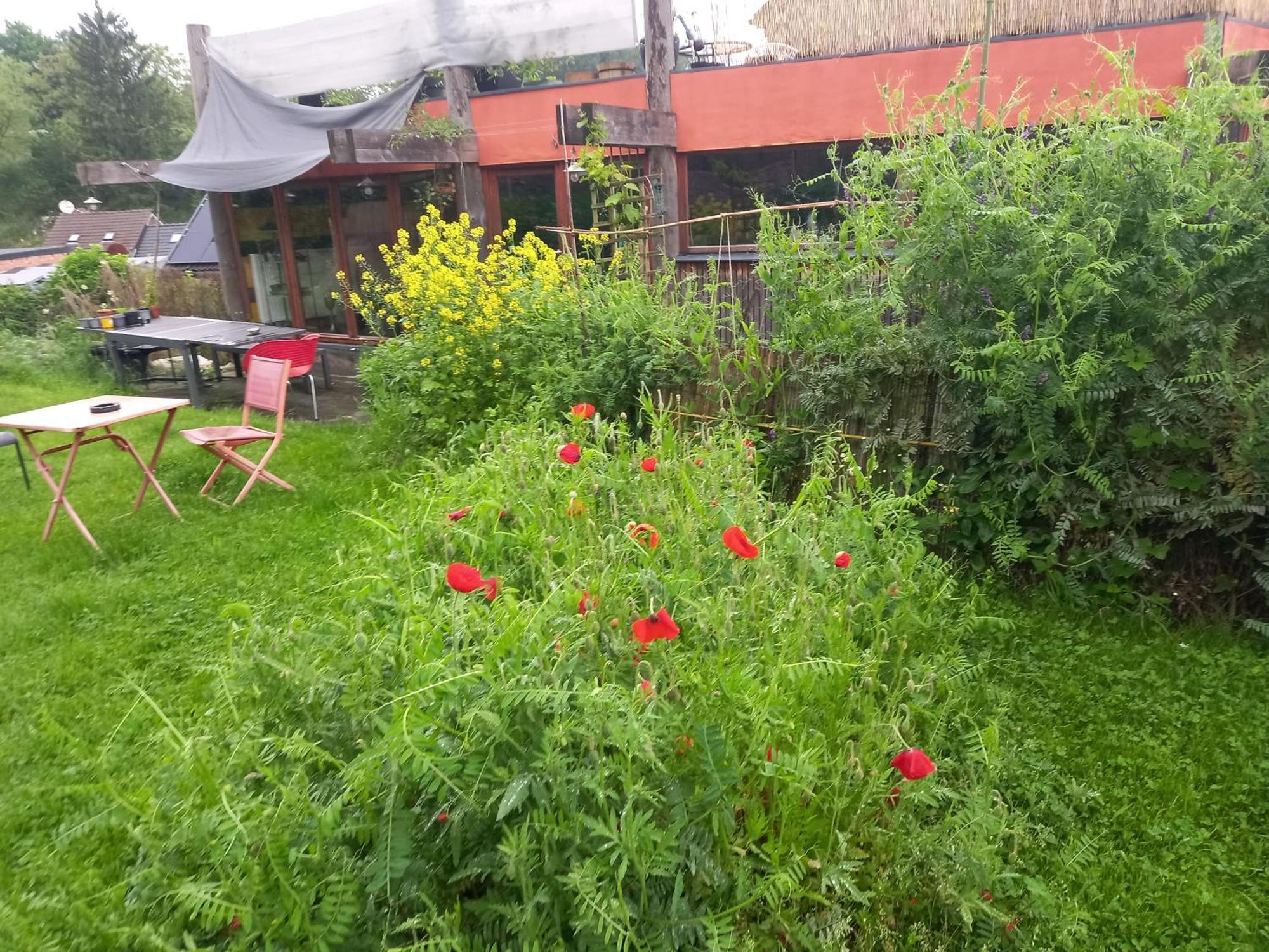 Gee Is Sharing Her Home Lieja Exterior foto