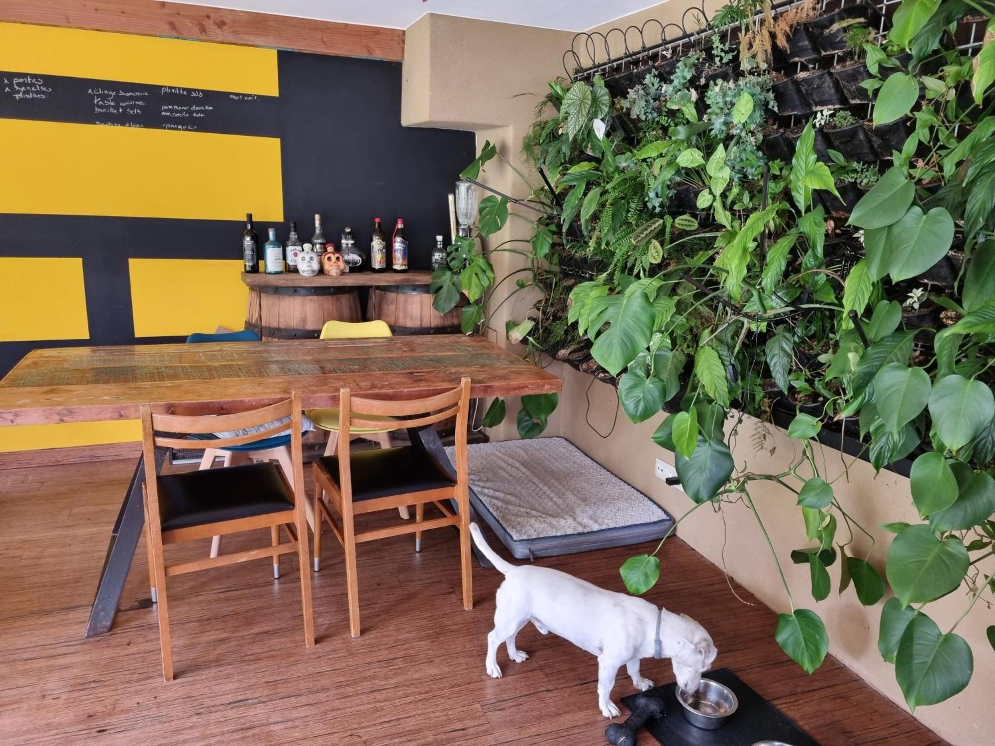 Gee Is Sharing Her Home Lieja Exterior foto